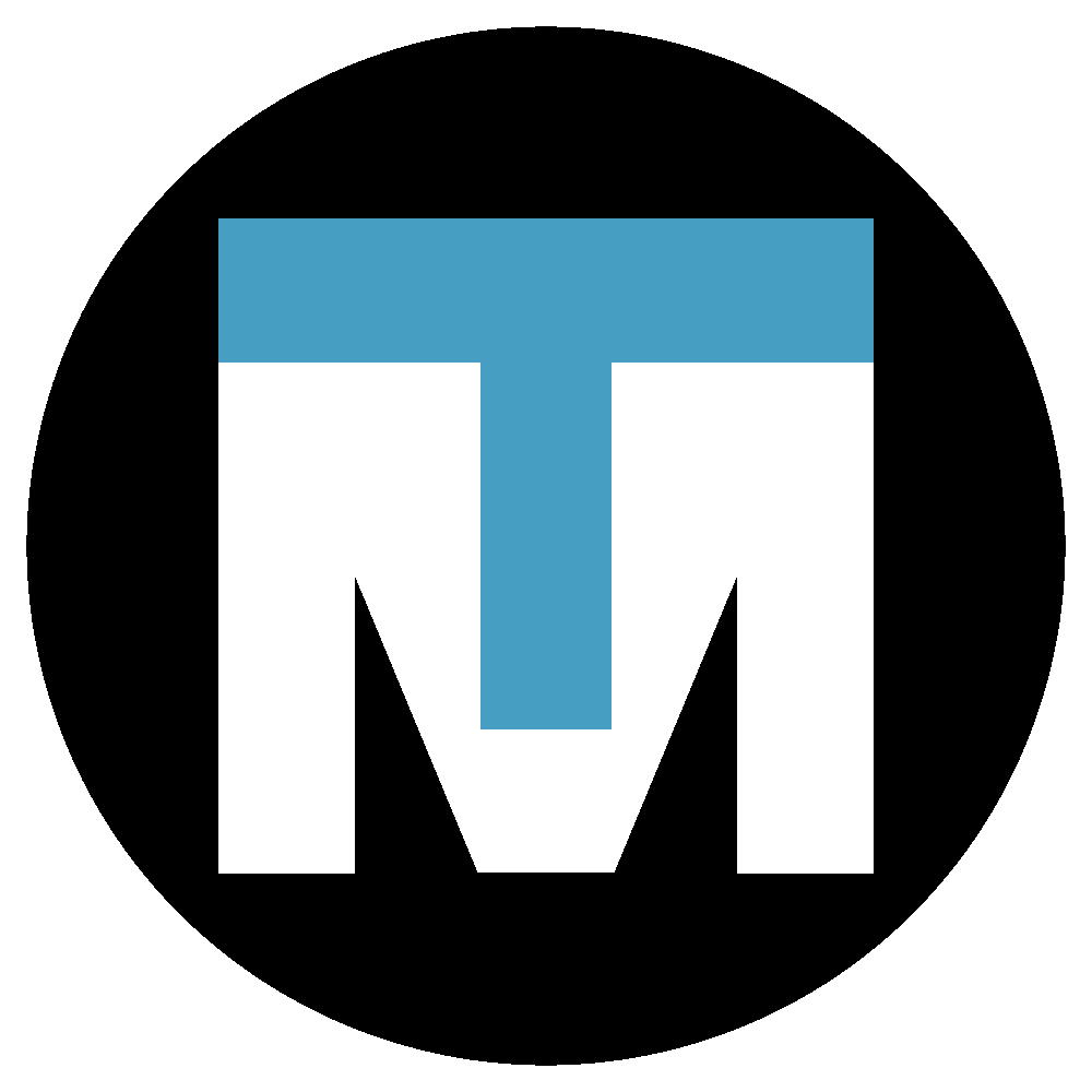 local metro logo